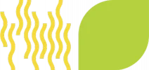 svg-waves-leaf svg-waves-leaf